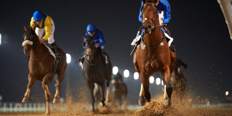 Dubai Racing Club and Dubai Equestrian Club set to host the Dubai Equestrian Procurement Forum on 23 October
