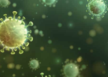 ഇന്ത്യയിൽ കോവിഡ് രോഗികളുടെ എണ്ണം 7.37 മില്യൺ പിന്നിട്ടു.