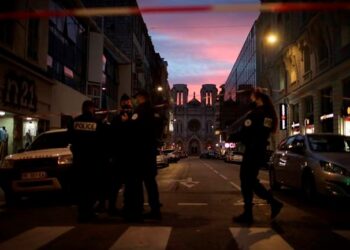 ഫ്രഞ്ച്‌ കോണ്സുലേറ്റ് ആക്രമണതെ യുഎഇ അപലപിച്ചു