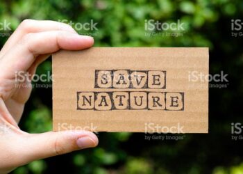 കാത്ത് കൊള്ളണം നാം ഈ പ്രകൃതിയേ കടമയാണത് മറക്കരുത്.