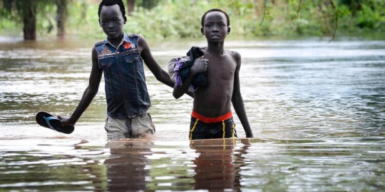 സുഡാൻ ജനതയ്ക്ക് സഹായവുമായി ടാർ അൽ ബെർ സൊസൈറ്റി