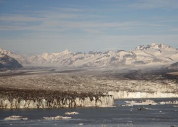 കാലാവസ്ഥാ വ്യതിയാനത്തെ നേരിടാൻ സജ്ജമായി ദുബായ് പൊലീസ്