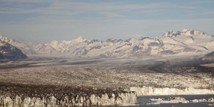 കാലാവസ്ഥാ വ്യതിയാനത്തെ നേരിടാൻ സജ്ജമായി ദുബായ് പൊലീസ്