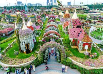 ഒരു പൂ മാത്രം ചോദിച്ചവർക്കായ് ഒരു പൂക്കാലം തീർത്ത് ദുബായ് മിറാക്കിൾ ഗാർഡൻ.