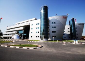 ദുബായിലെ വ്യാപാരപ്രവർത്തനങ്ങൾക്ക് താങ്ങായി ദുബായ് കസ്റ്റംസ്