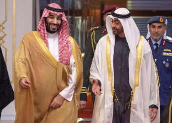 ശൈഖ് മുഹമ്മദ് ബിൻ സായിദ് അൽ നഹ്യാൻ-മുഹമ്മദ് ബിൻ സൽമാൻ ബിൻ അബ്ദുൽ അസീസുമായി കൂടിക്കാഴ്ച നടത്തി.