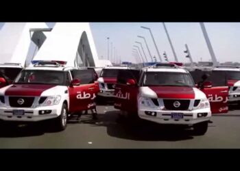 വളർത്തുമൃഗങ്ങൾ വിൽപ്പനയ്ക്കും ദത്തെടുക്കലിനും വാഗ്ദാനം ചെയ്യുന്ന വ്യാജ ഓൺലൈൻ പരസ്യങ്ങൾക്കെതിരെ അബുദാബി പോലീസ് മുന്നറിയിപ്പ്