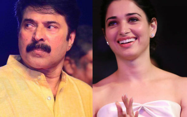 മലയാളത്തിലെ തന്റെ ഏറ്റവും പ്രിയപ്പെട്ട താരം മമ്മൂട്ടി തന്നെയാണെന്ന് തമന്ന മമ്മൂട്ടി ഒരുഅത്ഭുതമാണെന്നും തമന്ന