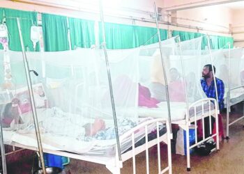 ഡെങ്കുവിനെതിരെ മരുന്നുമായി CDRI ലക്നൗ ശാസ്ത്രജ്ഞർ