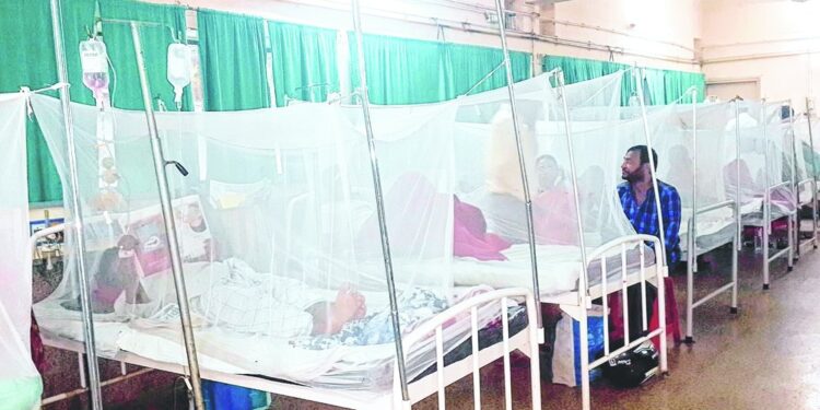 ഡെങ്കുവിനെതിരെ മരുന്നുമായി CDRI ലക്നൗ ശാസ്ത്രജ്ഞർ