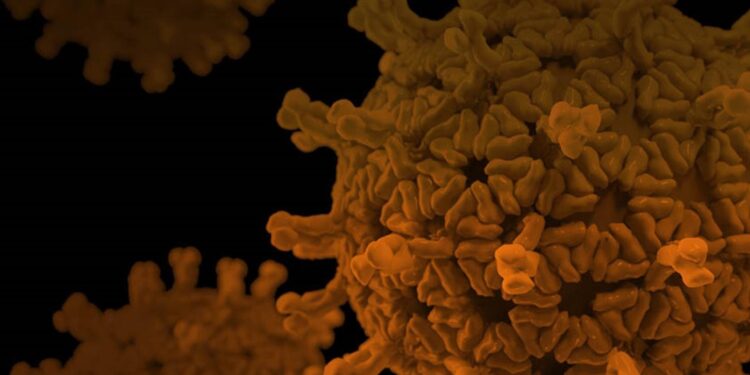 സൗദിയില്‍ കോവിഡ് പ്രതിരോധ നിയന്ത്രണങ്ങളില്‍ ഇളവ് തുടരുന്നു