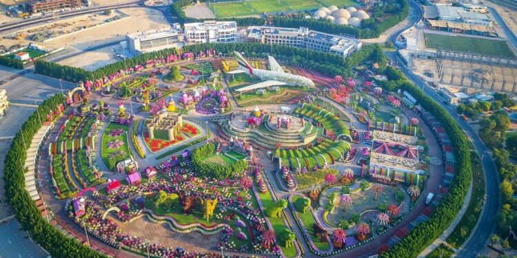 ലോകത്തിലെ ഏറ്റവുംവലിയ പൂന്തോട്ടമായ ദുബായ് മിറാക്കിൾ ഗാർഡൻ ഇന്ന് മുതൽ സന്ദർശകരെ സ്വീകരിച്ചു തുടങ്ങി