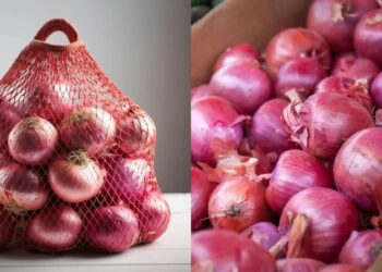 കിലോയ്ക്ക് 70 രൂപ; ഉൽപാദനം കുറഞ്ഞതോടെ സവാള വില ഉയർന്നു