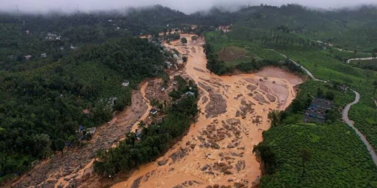 വയനാട് മുണ്ടക്കൈ-ചൂരൽമല ഉരുൾപൊട്ടൽ; പുനരധിവാസ പദ്ധതിക്ക് മന്ത്രിസഭാ അംഗീകാരം; എസ്റ്റേറ്റുകളിൽ സർവേ തുടങ്ങി