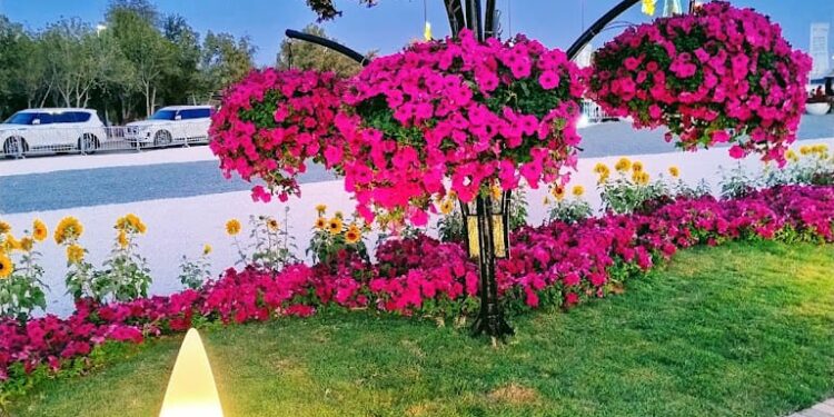 സന്ദർശക തിരക്ക്: അൽ ഐൻ ഫ്ലവർ ഷോ 23 വരെ നീട്ടി