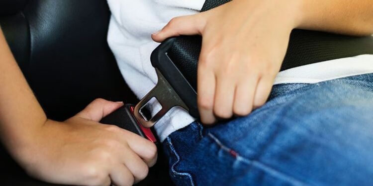 സ്കൂൾ ബസുകളിൽ സീറ്റ് ബെൽറ്റ് നിർബന്ധമാക്കണമെന്ന് നിർദേശിച്ച് വിദ്യാഭ്യാസ മന്ത്രാലയം